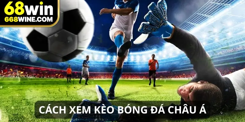Cách xem kèo